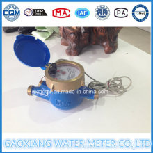 Direct Reading Water Meters with Pulse Output